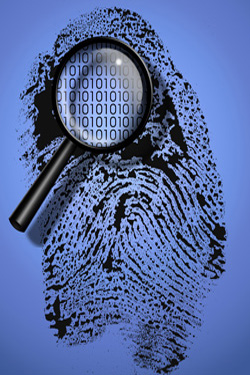 immagine consulenza privacy